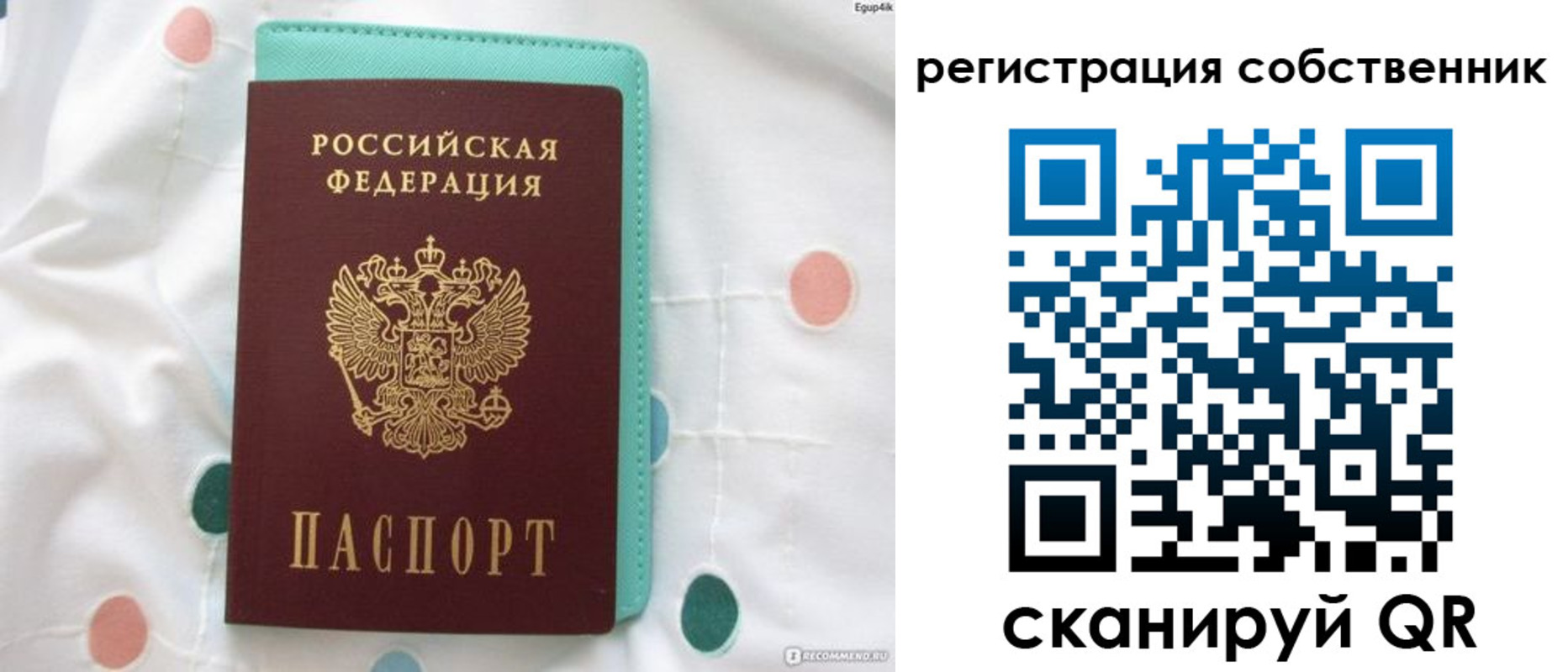прописка для школы в Мончегорске